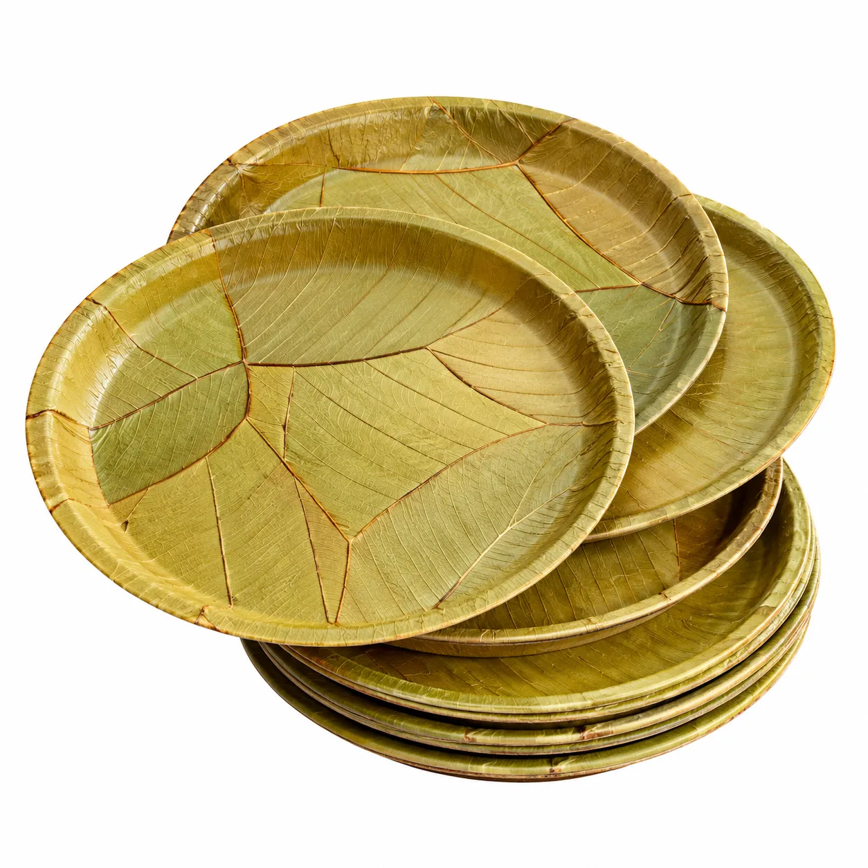 Salpata paper plate lamination Salpata paper plate lamination